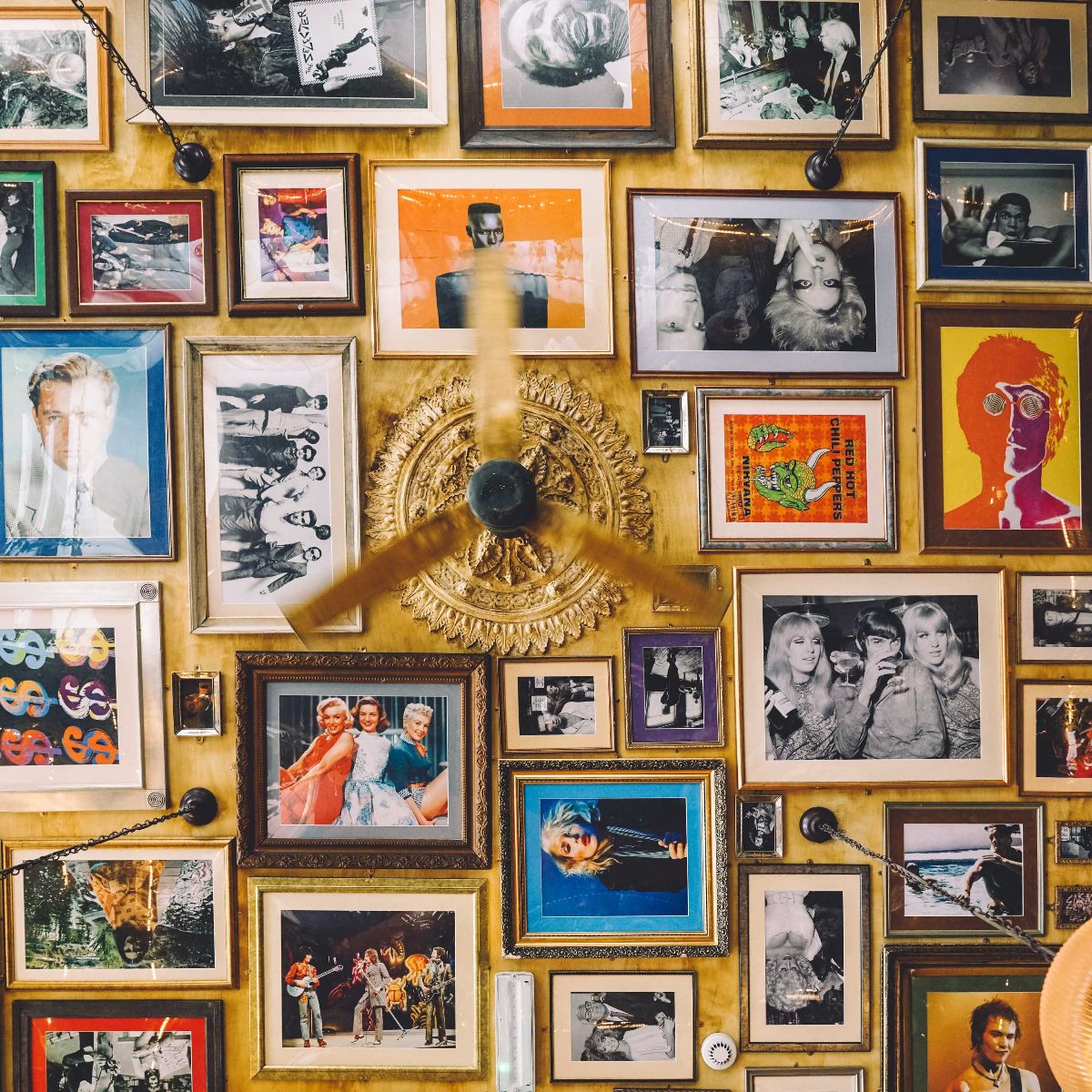 Gin & Juice, Bristol